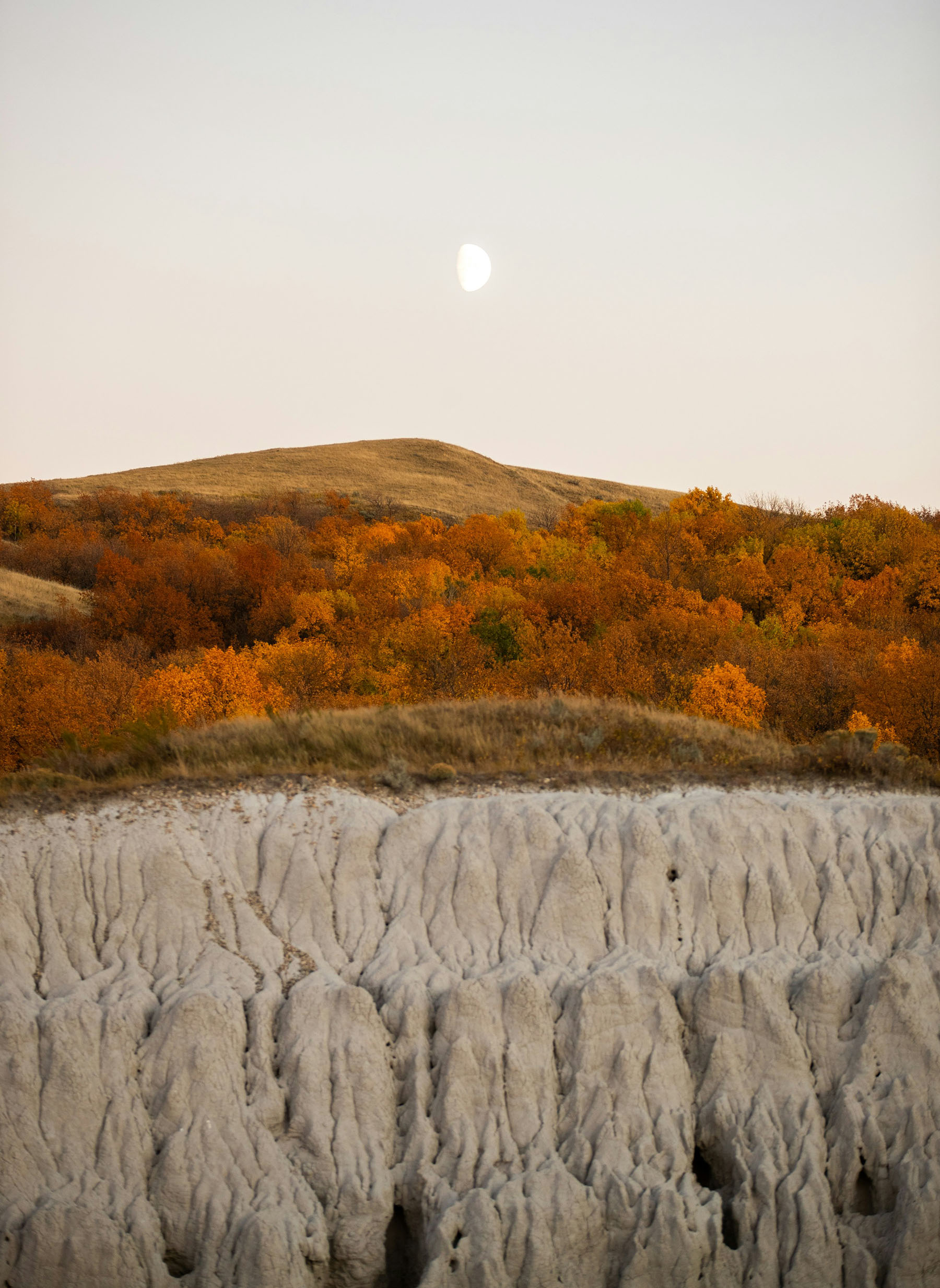 Hills Tall PS1800